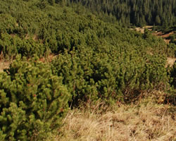 beskid noclegi na szlaku